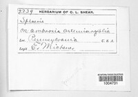 Image Associated With the Occurence